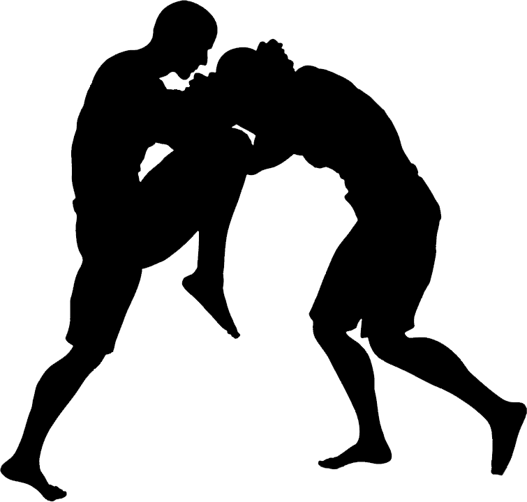 MMA
