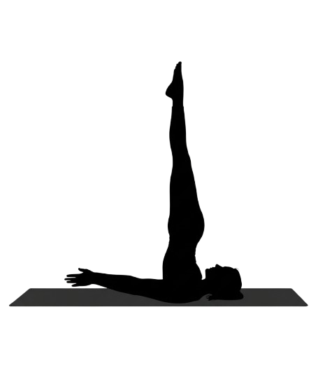 Reformer Pilates